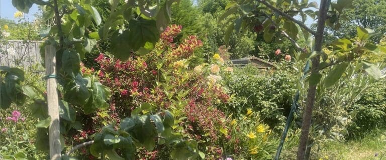 Author, Journalist, and Union Bruiser or Just a Paranoid Schizophrenic?