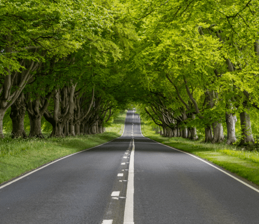 Fatalities lead to lowering of speed limit at Badbury Rings
