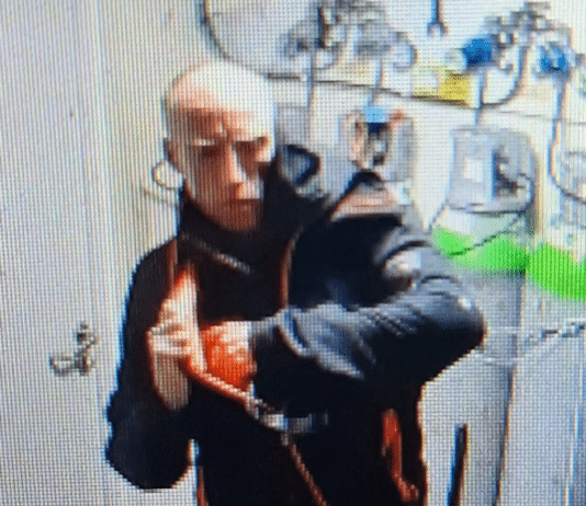 Man sought following burglary in Shaftesbury