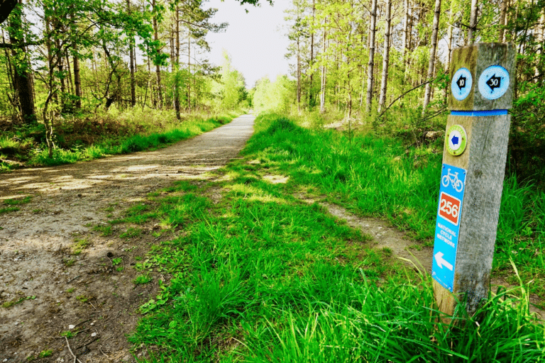 Police investigating whether fire in Ferndown was started deliberately