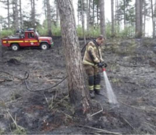 Heath Fires In Hurn Now Being Treated As Deliberate