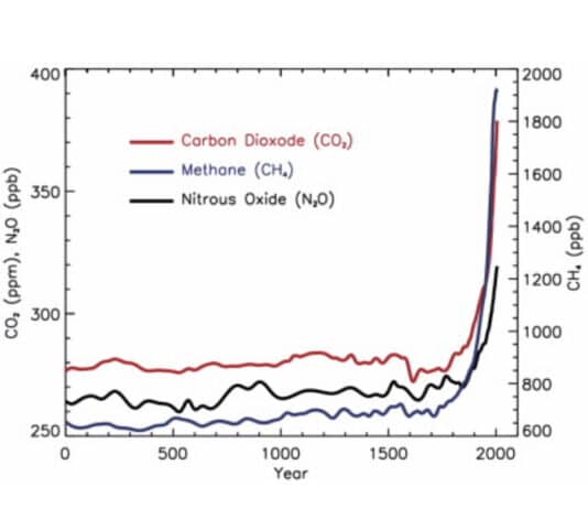 Climate change deniers and the bystander effect will see off humans