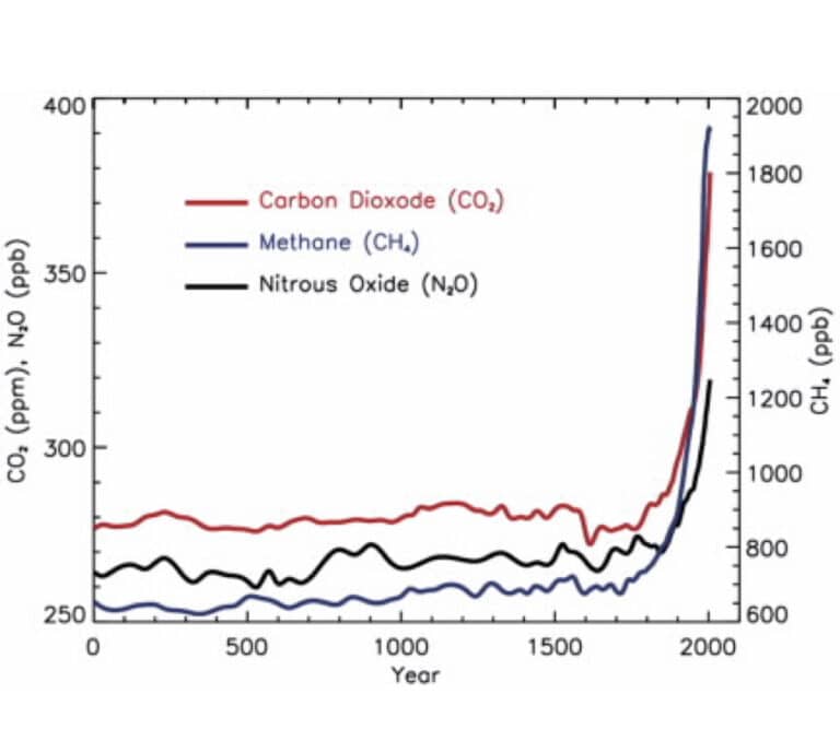 Climate change deniers and the bystander effect will see off humans