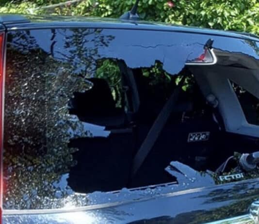 Police looking for ‘dangerous and unstable man’ following incident in East Dorset