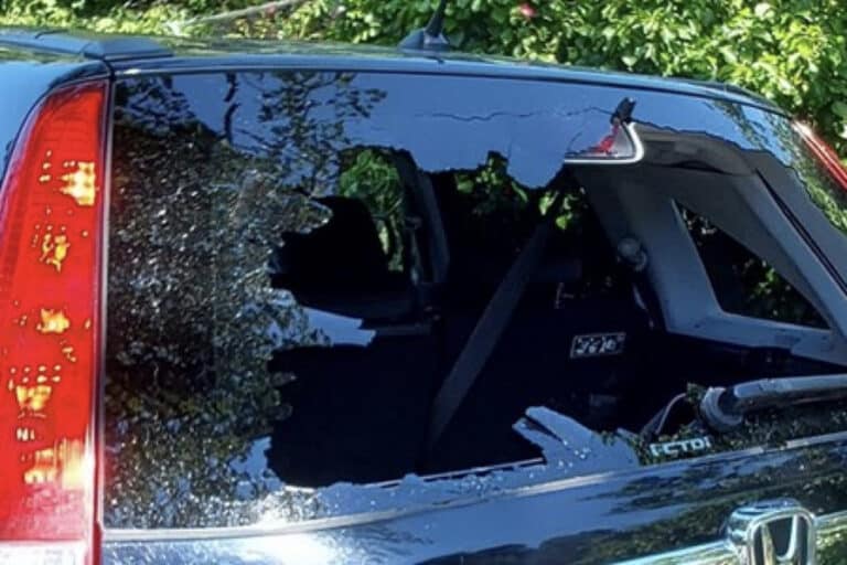 Police looking for ‘dangerous and unstable man’ following incident in East Dorset