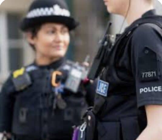 “We do employ some morons”: Study reveals police trainers’ views on new recruits