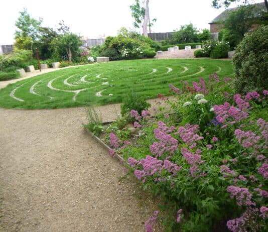 Vote For Your Favourite Green Space In Weymouth