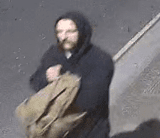 Woman sexually assaulted in Christchurch