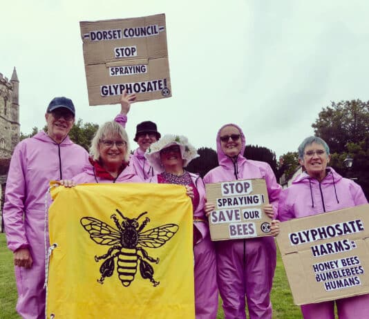 Dorset Council – Stop Spraying – Save Our Bees