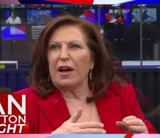 Amanda Platell: Another Tory who abused the taxpayer