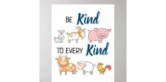 Most People In The South West Of England Want Higher Welfare For Animals Rather Than Cheaper Food