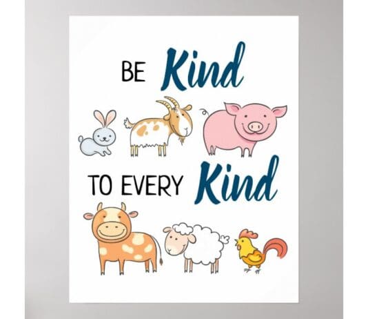 Most People In The South West Of England Want Higher Welfare For Animals Rather Than Cheaper Food