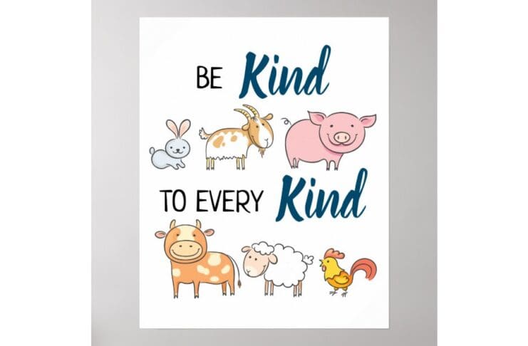 Most People In The South West Of England Want Higher Welfare For Animals Rather Than Cheaper Food