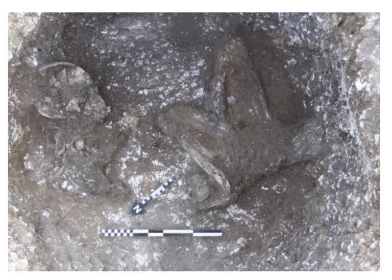 Bronze Age human remains uncovered during excavation of Iron Age settlement