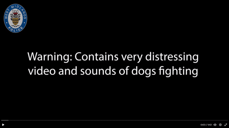 Was tasering a dog acceptable?