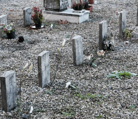 In a tiny grave in a churchyard cemetery rests a 4 year old boy called Frankie