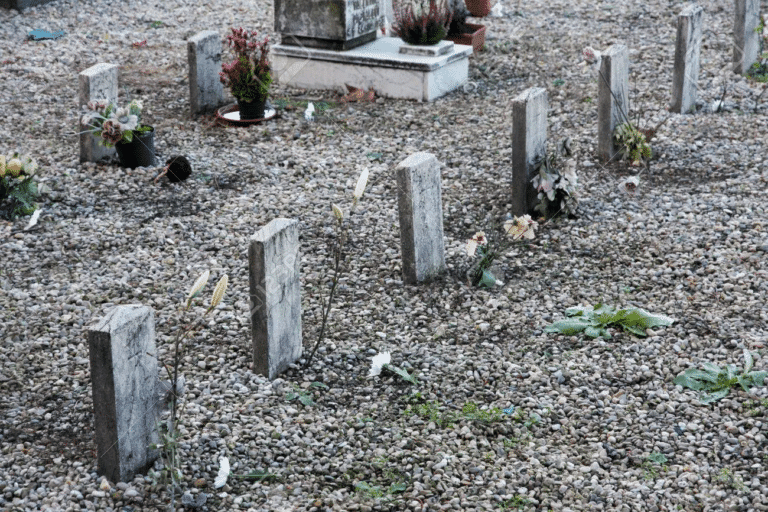 In a tiny grave in a churchyard cemetery rests a 4 year old boy called Frankie