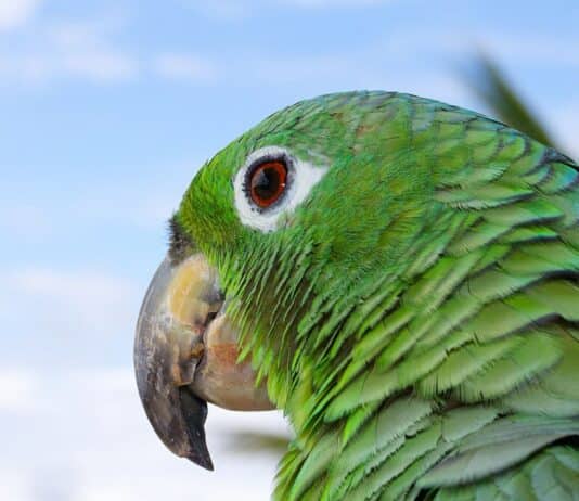 MORALITY – AN INTRODUCTION