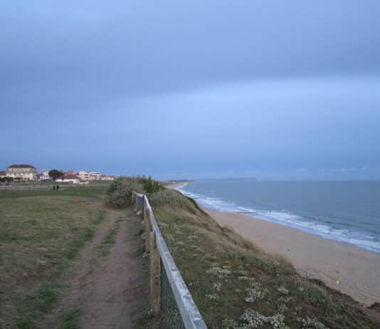 Man and woman arrested for murder following human remains find