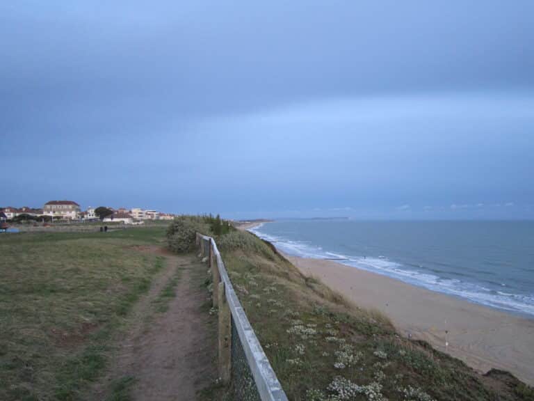 Man and woman arrested for murder following human remains find