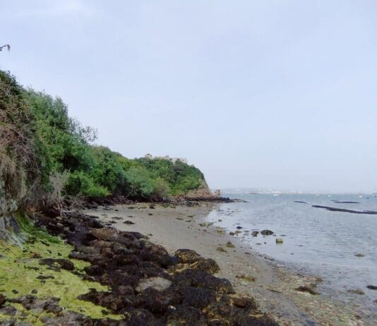 Tragedy as missing man’s body found in Weymouth