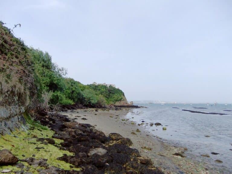 Tragedy as missing man’s body found in Weymouth