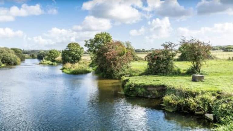 River protection goes with the flow in north Dorset 