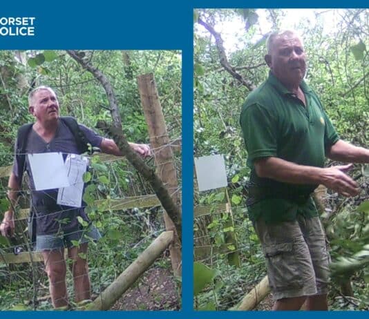 Man sought following criminal damage in Wimborne