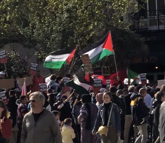 UN Secretary Accused of blood libel