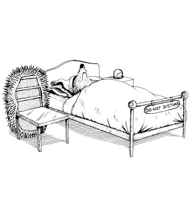 Understanding Hedgehog Hibernation