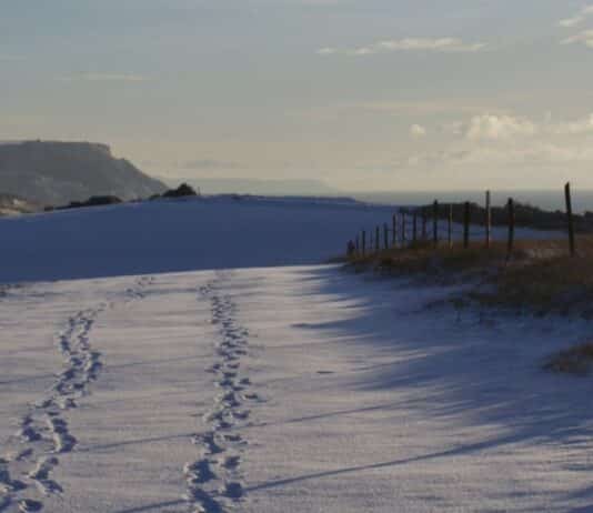 Living in Weymouth/Dorchester? Snow Coming? You Won’t Starve