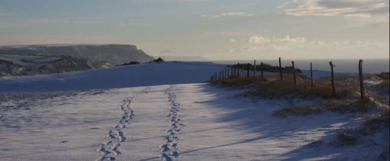 Living in Weymouth/Dorchester? Snow Coming? You Won’t Starve