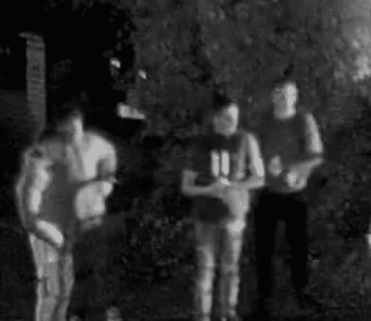 Thuggish behaviour in Verwood as two hospitalised