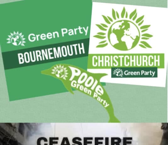BCP Green Party to table motion calling for immediate ceasefire in Gaza