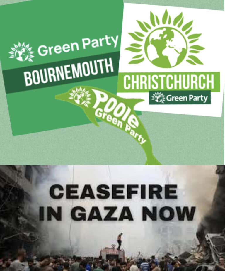 BCP Green Party to table motion calling for immediate ceasefire in Gaza