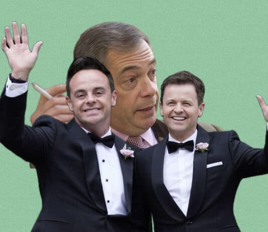 Stewart Lee does not mince his words about Farage, Ant and Dec