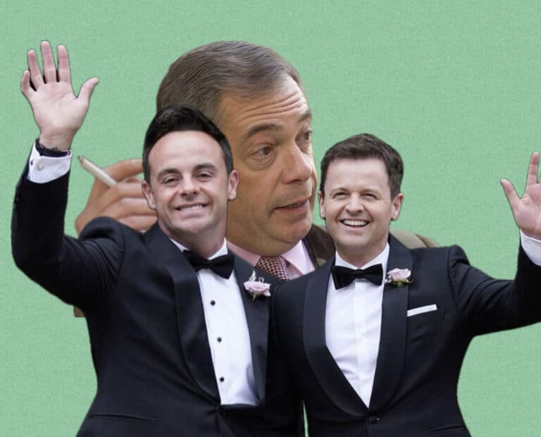 Stewart Lee does not mince his words about Farage, Ant and Dec