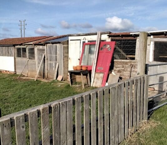 Wyke Regis man sentenced following failure to comply with planning enforcement notice