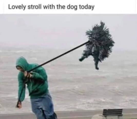 Update from across Bournemouth, Christchurch and Poole following Storm Ciaran