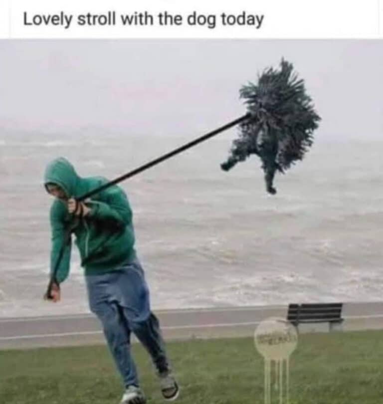 Update from across Bournemouth, Christchurch and Poole following Storm Ciaran