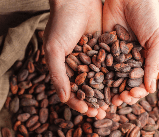 The impact of climate change on cocoa and sugar will mean less and more expensive chocolate