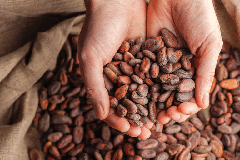 The impact of climate change on cocoa and sugar will mean less and more expensive chocolate