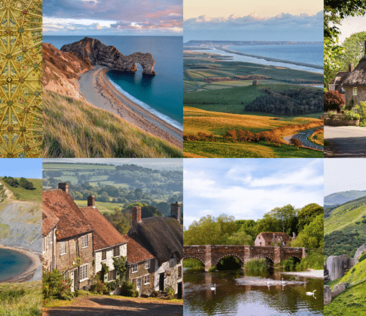 Unleashing Dorset’s Educational Potential For Schools