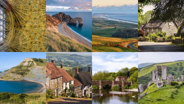 Unleashing Dorset’s Educational Potential For Schools