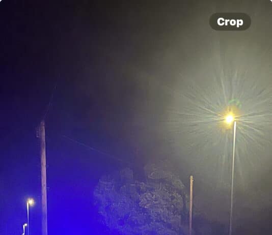 Tragedy as woman dies following collision in Weymouth