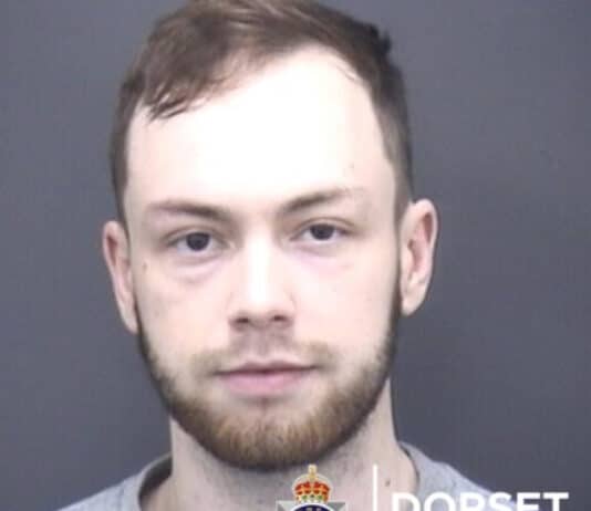 Bournemouth man jailed for eight years for paedophilia offences