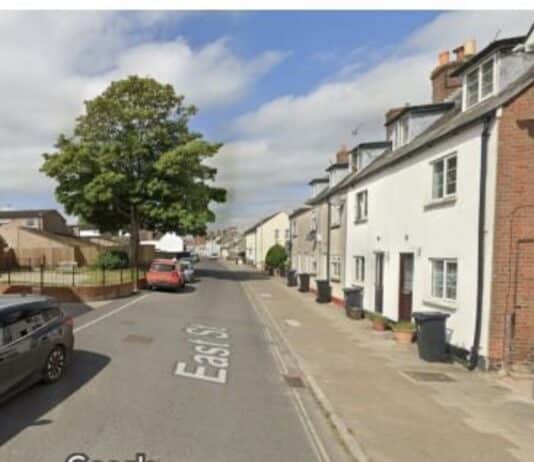 Dorset council rejects developer’s application to cut down sycamore tree in Wareham