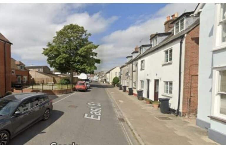 Dorset council rejects developer’s application to cut down  sycamore tree in Wareham