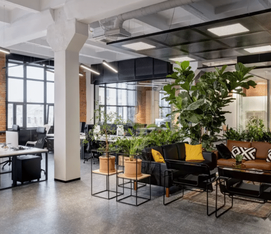 Redefining Productivity: How Modern Offices Are Adapting to New Work Cultures