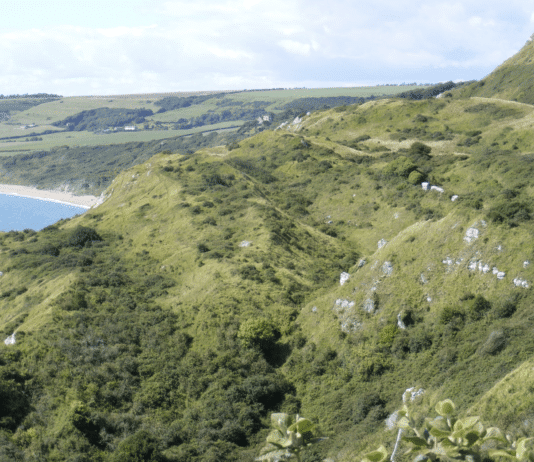 Discovering Bat’s Head to Ringstead